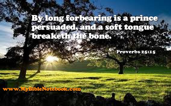 Proverbs 25:15 By long forbearing is a prince persuaded, and a soft tongue breaketh the bone. Create your own Bible Verse Cards at MyBibleNotebook.com