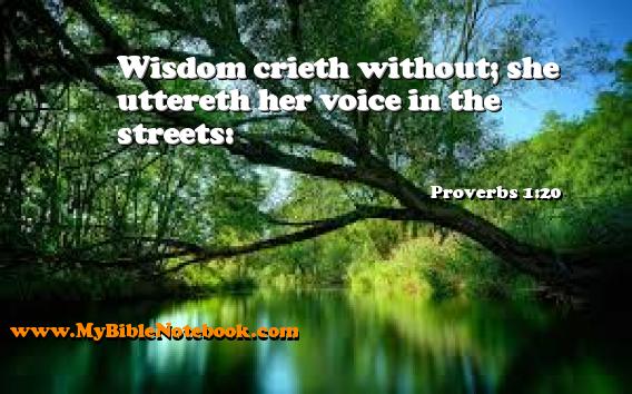 Proverbs 1:20 Wisdom crieth without; she uttereth her voice in the streets: Create your own Bible Verse Cards at MyBibleNotebook.com