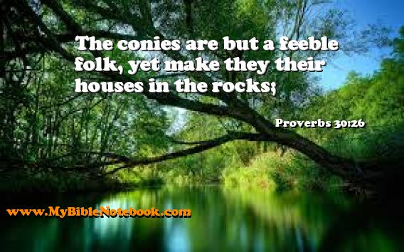 Proverbs 30:26 The conies are but a feeble folk, yet make they their houses in the rocks; Create your own Bible Verse Cards at MyBibleNotebook.com