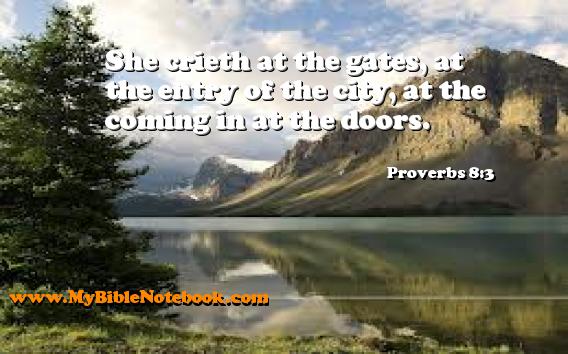 Proverbs 8:3 She crieth at the gates, at the entry of the city, at the coming in at the doors. Create your own Bible Verse Cards at MyBibleNotebook.com