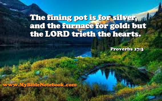 Proverbs 17:3 The fining pot is for silver, and the furnace for gold: but the LORD trieth the hearts. Create your own Bible Verse Cards at MyBibleNotebook.com