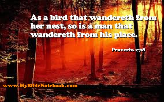 Proverbs 27:8 As a bird that wandereth from her nest, so is a man that wandereth from his place. Create your own Bible Verse Cards at MyBibleNotebook.com