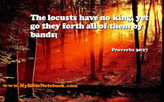 Proverbs 30:27 The locusts have no king, yet go they forth all of them by bands; Create your own Bible Verse Cards at MyBibleNotebook.com