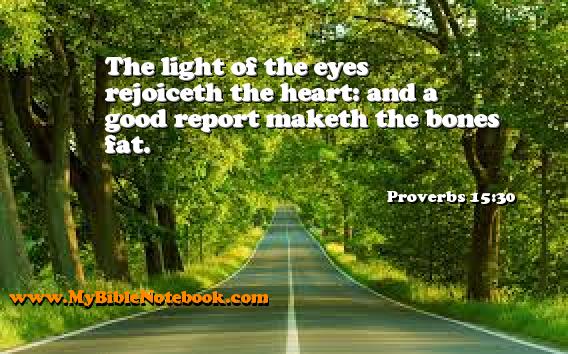 Proverbs 15:30 The light of the eyes rejoiceth the heart: and a good report maketh the bones fat. Create your own Bible Verse Cards at MyBibleNotebook.com