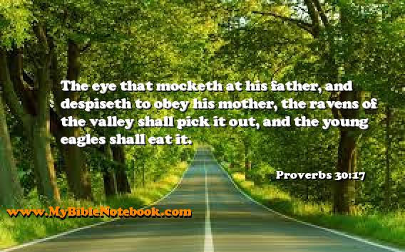 Proverbs 30:17 The eye that mocketh at his father, and despiseth to obey his mother, the ravens of the valley shall pick it out, and the young eagles shall eat it. Create your own Bible Verse Cards at MyBibleNotebook.com