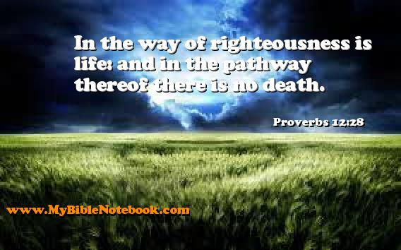 Proverbs 12:28 In the way of righteousness is life: and in the pathway thereof there is no death. Create your own Bible Verse Cards at MyBibleNotebook.com