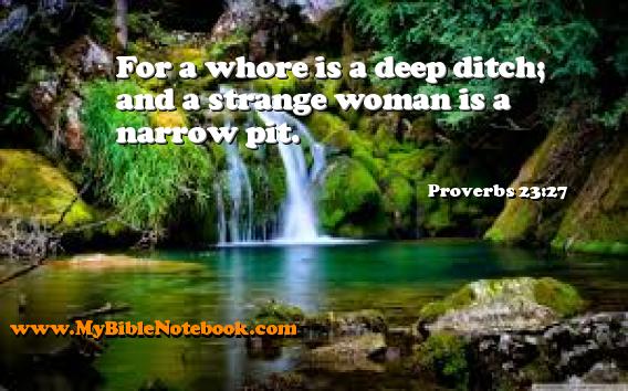 Proverbs 23:27 For a whore is a deep ditch; and a strange woman is a narrow pit. Create your own Bible Verse Cards at MyBibleNotebook.com
