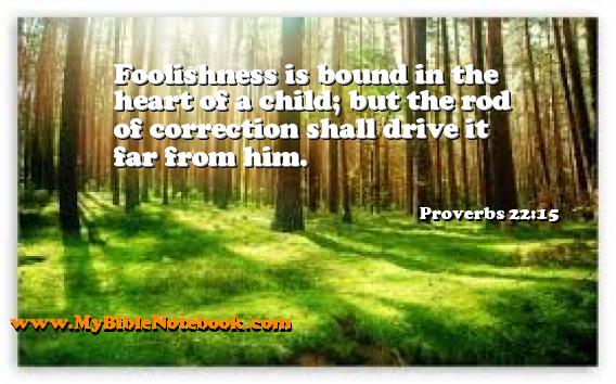 Proverbs 22:15 Foolishness is bound in the heart of a child; but the rod of correction shall drive it far from him. Create your own Bible Verse Cards at MyBibleNotebook.com