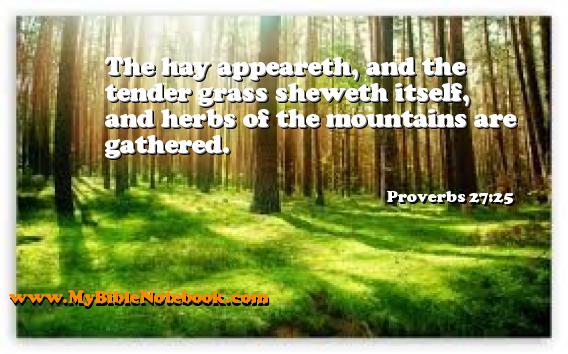 Proverbs 27:25 The hay appeareth, and the tender grass sheweth itself, and herbs of the mountains are gathered. Create your own Bible Verse Cards at MyBibleNotebook.com