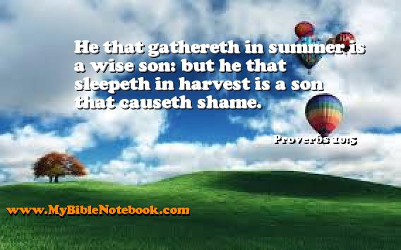 Proverbs 10:5 He that gathereth in summer is a wise son: but he that sleepeth in harvest is a son that causeth shame. Create your own Bible Verse Cards at MyBibleNotebook.com
