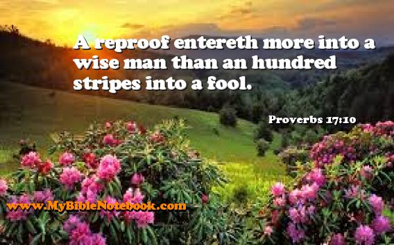Proverbs 17:10 A reproof entereth more into a wise man than an hundred stripes into a fool. Create your own Bible Verse Cards at MyBibleNotebook.com