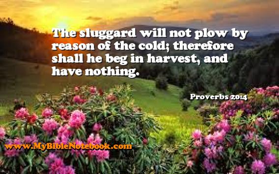Proverbs 20:4 The sluggard will not plow by reason of the cold; therefore shall he beg in harvest, and have nothing. Create your own Bible Verse Cards at MyBibleNotebook.com