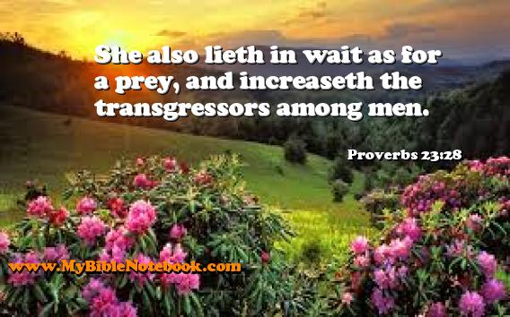 Proverbs 23:28 She also lieth in wait as for a prey, and increaseth the transgressors among men. Create your own Bible Verse Cards at MyBibleNotebook.com