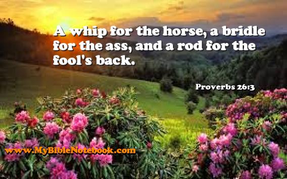 Proverbs 26:3 A whip for the horse, a bridle for the ass, and a rod for the fool's back. Create your own Bible Verse Cards at MyBibleNotebook.com