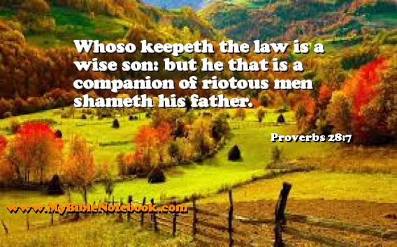 Proverbs 28:7 Whoso keepeth the law is a wise son: but he that is a companion of riotous men shameth his father. Create your own Bible Verse Cards at MyBibleNotebook.com