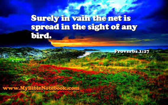 Proverbs 1:17 Surely in vain the net is spread in the sight of any bird. Create your own Bible Verse Cards at MyBibleNotebook.com
