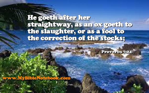 Proverbs 7:22 He goeth after her straightway, as an ox goeth to the slaughter, or as a fool to the correction of the stocks; Create your own Bible Verse Cards at MyBibleNotebook.com