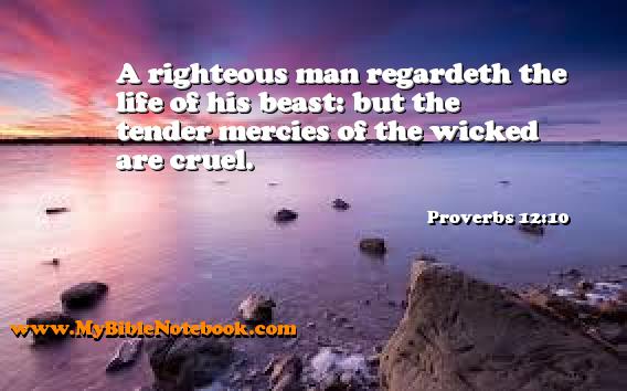 Proverbs 12:10 A righteous man regardeth the life of his beast: but the tender mercies of the wicked are cruel. Create your own Bible Verse Cards at MyBibleNotebook.com