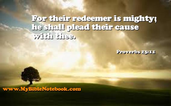 Proverbs 23:11 For their redeemer is mighty; he shall plead their cause with thee. Create your own Bible Verse Cards at MyBibleNotebook.com