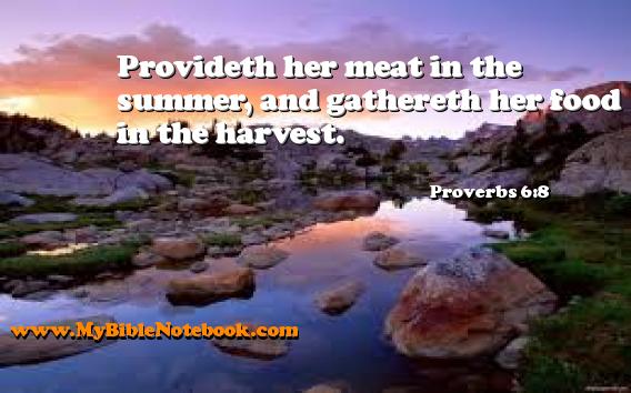 Proverbs 6:8 Provideth her meat in the summer, and gathereth her food in the harvest. Create your own Bible Verse Cards at MyBibleNotebook.com