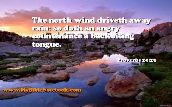 Proverbs 25:23 The north wind driveth away rain: so doth an angry countenance a backbiting tongue. Create your own Bible Verse Cards at MyBibleNotebook.com