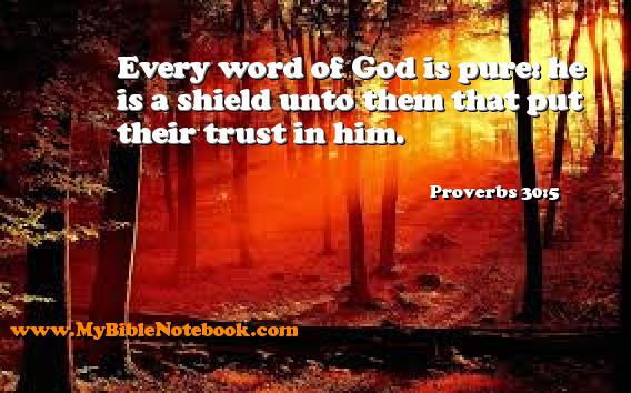 Proverbs 30:5 Every word of God is pure: he is a shield unto them that put their trust in him. Create your own Bible Verse Cards at MyBibleNotebook.com