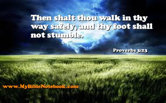 Proverbs 3:23 Then shalt thou walk in thy way safely, and thy foot shall not stumble. Create your own Bible Verse Cards at MyBibleNotebook.com