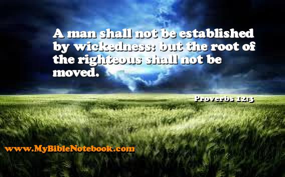 Proverbs 12:3 A man shall not be established by wickedness: but the root of the righteous shall not be moved. Create your own Bible Verse Cards at MyBibleNotebook.com