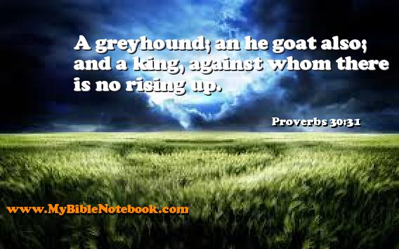 Proverbs 30:31 A greyhound; an he goat also; and a king, against whom there is no rising up. Create your own Bible Verse Cards at MyBibleNotebook.com