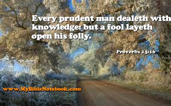 Proverbs 13:16 Every prudent man dealeth with knowledge: but a fool layeth open his folly. Create your own Bible Verse Cards at MyBibleNotebook.com