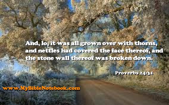 Proverbs 24:31 And, lo, it was all grown over with thorns, and nettles had covered the face thereof, and the stone wall thereof was broken down. Create your own Bible Verse Cards at MyBibleNotebook.com