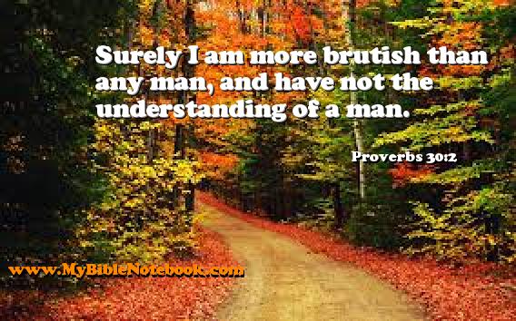 Proverbs 30:2 Surely I am more brutish than any man, and have not the understanding of a man. Create your own Bible Verse Cards at MyBibleNotebook.com