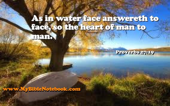 Proverbs 27:19 As in water face answereth to face, so the heart of man to man. Create your own Bible Verse Cards at MyBibleNotebook.com