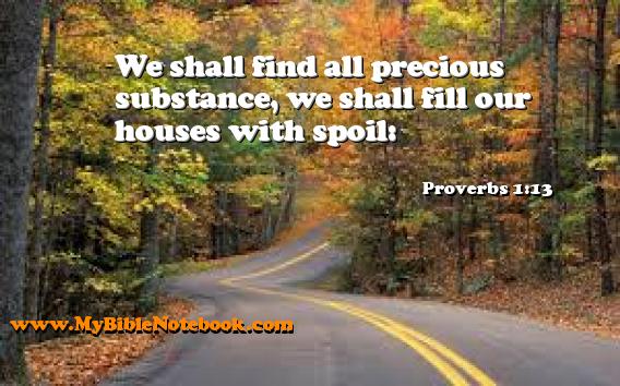 Proverbs 1:13 We shall find all precious substance, we shall fill our houses with spoil: Create your own Bible Verse Cards at MyBibleNotebook.com