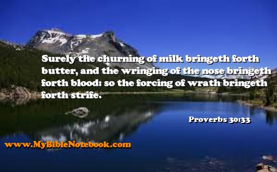 Proverbs 30:33 Surely the churning of milk bringeth forth butter, and the wringing of the nose bringeth forth blood: so the forcing of wrath bringeth forth strife. Create your own Bible Verse Cards at MyBibleNotebook.com