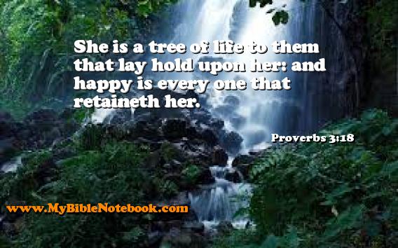 Proverbs 3:18 She is a tree of life to them that lay hold upon her: and happy is every one that retaineth her. Create your own Bible Verse Cards at MyBibleNotebook.com