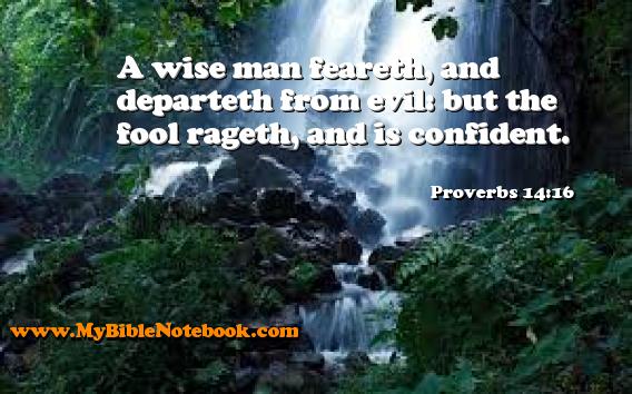 Proverbs 14:16 A wise man feareth, and departeth from evil: but the fool rageth, and is confident. Create your own Bible Verse Cards at MyBibleNotebook.com