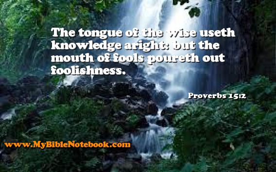 Proverbs 15:2 The tongue of the wise useth knowledge aright: but the mouth of fools poureth out foolishness. Create your own Bible Verse Cards at MyBibleNotebook.com