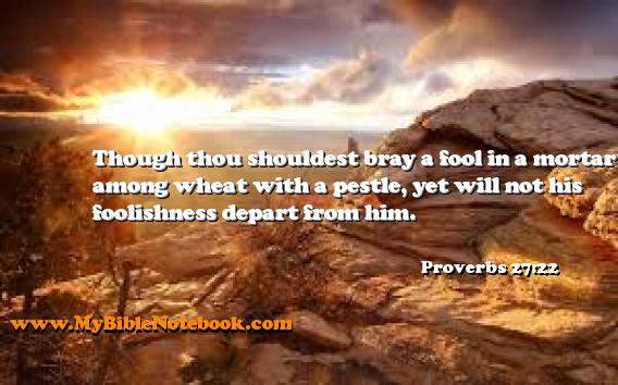 Proverbs 27:22 Though thou shouldest bray a fool in a mortar among wheat with a pestle, yet will not his foolishness depart from him. Create your own Bible Verse Cards at MyBibleNotebook.com