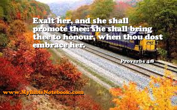Proverbs 4:8 Exalt her, and she shall promote thee: she shall bring thee to honour, when thou dost embrace her. Create your own Bible Verse Cards at MyBibleNotebook.com