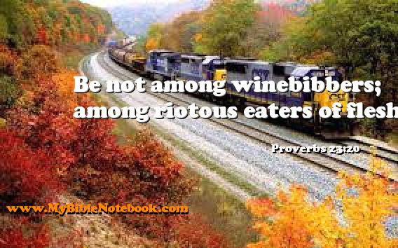 Proverbs 23:20 Be not among winebibbers; among riotous eaters of flesh: Create your own Bible Verse Cards at MyBibleNotebook.com