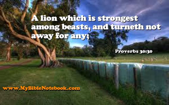 Proverbs 30:30 A lion which is strongest among beasts, and turneth not away for any; Create your own Bible Verse Cards at MyBibleNotebook.com