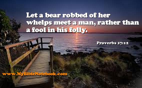 Proverbs 17:12 Let a bear robbed of her whelps meet a man, rather than a fool in his folly. Create your own Bible Verse Cards at MyBibleNotebook.com