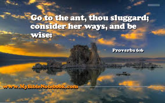 Proverbs 6:6 Go to the ant, thou sluggard; consider her ways, and be wise: Create your own Bible Verse Cards at MyBibleNotebook.com