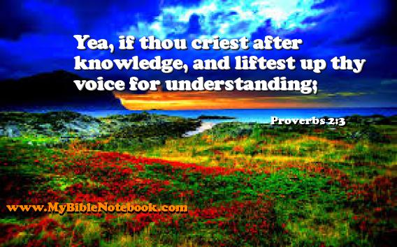 Proverbs 2:3 Yea, if thou criest after knowledge, and liftest up thy voice for understanding; Create your own Bible Verse Cards at MyBibleNotebook.com