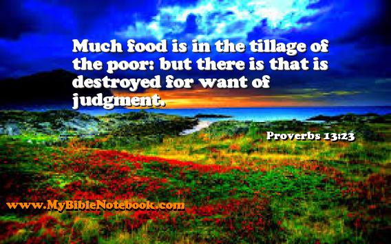 Proverbs 13:23 Much food is in the tillage of the poor: but there is that is destroyed for want of judgment. Create your own Bible Verse Cards at MyBibleNotebook.com