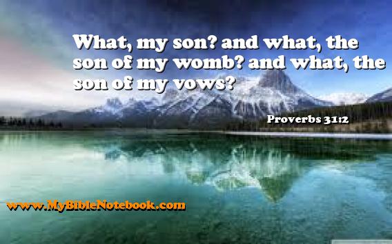 Proverbs 31:2 What, my son? and what, the son of my womb? and what, the son of my vows? Create your own Bible Verse Cards at MyBibleNotebook.com